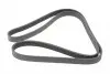 Ремень генератора Audi/BMW/Chevrolet/MB/Opel (6PK1875) HUTCHINSON 1875 K 6 (фото 5)