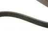 Ремень генератора Infiniti FX/M45/Lexus GS/Mitsubishi Outlander 1.8-4.5 93- HUTCHINSON 1940 K 6 (фото 3)