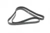 Ремінь генератора Honda Accord VIII 2.0 I 08-/ Land Rover Range Rover II 3.9-4.6 94-02 HUTCHINSON 2080 K 7 (фото 5)