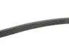 Ремінь генератора MB W124/W126/W201/W202 3.0 -96/VW LT 2.5TDI (6PK2172) HUTCHINSON 2172 K 6 (фото 3)