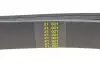 Ремень генератора MB S-class (W220/C215) 5.5-6.0 02-06/Land Rover Range Rover 3.9-4.6 94-02 HUTCHINSON 2335 K 7 (фото 3)