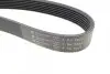 Ремень генератора MB S-class (W220/C215) 5.5-6.0 02-06/Land Rover Range Rover 3.9-4.6 94-02 HUTCHINSON 2335 K 7 (фото 4)
