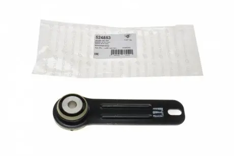 Сайлентблок балки Citroen C5/Peugeot 407 2.7HDI; 3.0HDi (05-08) HUTCHINSON 524853