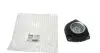 Подушка амортизатора (переднього) Nissan X-Trail/Renault Koleos 08- (L) HUTCHINSON 590484 (фото 1)