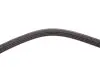 Ремінь генератора Ford Transit 2.0 TDCI 00-06 (4PK735) HUTCHINSON 735 K 4 (фото 3)