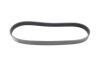 Ремінь генератора Citroen C2/C3 1.4HDi 02-/C4/Peugeot 206 CC/207/307 1.6HDi 03-15 (6PK780) HUTCHINSON 780 SK 6 (фото 5)