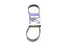 Ремень генератора Fiat Punto/Stilo 1.9 JTD 99-06 (6PK813) HUTCHINSON 813 K 6 (фото 1)