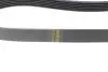 Ремень генератора Fiat Punto/Stilo 1.9 JTD 99-06 (6PK813) HUTCHINSON 813 K 6 (фото 3)