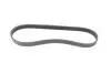 Ремень генератора Fiat Punto/Stilo 1.9 JTD 99-06 (6PK813) HUTCHINSON 813 K 6 (фото 5)