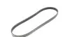 Ремень генератора BMW 3/5 90-00 / Ford Focus 2.5 05-12 HUTCHINSON 890 K 5 (фото 5)