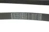 Ремень генератора Fiat Scudo 1.6/Renault Kangoo 1.9D 97- (6PK894) HUTCHINSON 894 K 6 (фото 2)