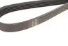 Ремінь генератора Fiat Scudo 2.0 JTD 99-06 (5PK970) HUTCHINSON 970 K 5 (фото 4)