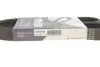 Ремінь генератора Citroen Berlingo/VW Golf III 1.4-2.0i 91- (6PK975) HUTCHINSON 975 K 6 (фото 5)