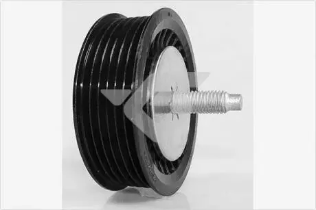 Ролик приводного ременя 1,6 16V, 1,5dci Renault Kangoo II, Megane II, Captur HUTCHINSON T0533
