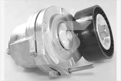 Натяжитель ремня HUTCHINSON T0571
