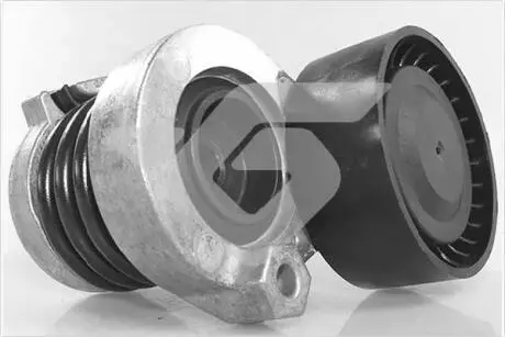 Натяжник ремня генератора Renault Kangoo 1.5dCi 09- HUTCHINSON T0693