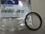 Уплотнительное кольцо Hyundai/Kia/Mobis 25623-2B000 (фото 1)