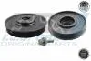 Шків колінвалу + шків генератора Citroen Berlingo/Jumpy/Peugeot Expert 1.9D/2.0HDI 98- (6PK) (з болтами) 171085SET