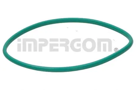 Прокладка топливного насоса Renault Kangoo 1.5 dCi 08-/Master 2.5 dCi 06- IMPERGOM 25200