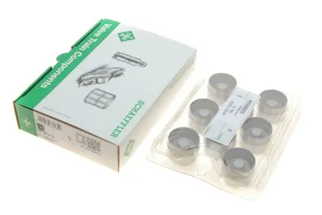Гідрокомпенсатор INA 420 0273 10