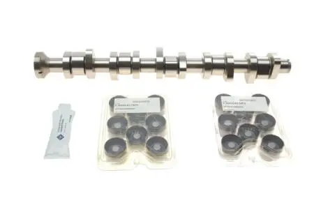Распредвал VW T5 2.5 TDI 03-09, 96/120/128kw, (BNZ,AXD,BPC,AXE,BLJ) INA 428 0040 30