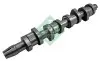 Распредвал VW Caddy III 1.9TDI (BJB,BSU,BLS) 55/77kw 04-10/VW T5 1.9TDI (BRS,BRR) 62/75kw 06-09 INA 428 0159 10 (фото 8)