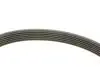 Комплект ременя генератора BMW 1 (E87/E88)/3 (E46/E90)/5 (E60) 1.6-2.0 01-10, N46B20, (6PK1870) INA 529 0044 10 (фото 3)