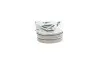 Комплект ремня генератора VW Passat 96-05 (5PK1300) INA 529 0096 10 (фото 5)