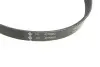 Комплект ремня генератора VW Passat 1.4-2.0 TDI 96-05 (4PK855) INA 529 0099 10 (фото 3)
