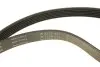 Комплект ремня генератора Citroen Jumpy/Peugeot Expert 1.9D 98-06 (6PK1390) INA 529 0157 10 (фото 4)