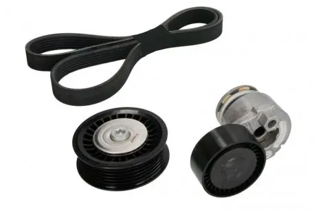 Комплект ремня генератора Renault Kangoo/Megane/Scenic 1.5 dCi 02- (6PK1130) INA 529 0165 10