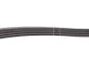 Комплект ременя генератора Renault Kangoo 1.5 dCi 01- (5PK1133) INA 529 0178 10 (фото 3)