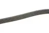 Комплект ремня генератора VW Caddy IV 1.6 15-20 (6PK1003) INA 529 0208 10 (фото 3)