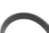 Комплект ремня генератора Audi A4/A6/Q5/Q7 3.0TFSI/VW Touareg 3.0 V6 TSI Hybrid 10-18 (7PK1272) INA 529 0245 10 (фото 4)