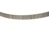 Комплект ременя генератора Citroen Jumpy/Peugeot Expert 2.0 HDi 09- (6PK1245) INA 529 0291 10 (фото 3)