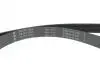Комплект ременя генератора Renault Clio IV/Kangoo/Megane III/Scenic III 0.9/1.2 TCe 12- (7PK1605) INA 529 0316 10 (фото 4)