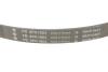 Комплект ременя генератора Opel Astra/Insignia 2.0 CDTI 08-17 (6PK1903) INA 529 0348 10 (фото 3)