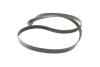 Комплект ременя генератора Opel Astra/Insignia 2.0 CDTI 08-17 (6PK1903) INA 529 0348 10 (фото 4)