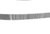 Комплект ременя генератора Peugeot 208/2008 1.6BlueHDi 13- (6PK1005) INA 529 0358 10 (фото 2)