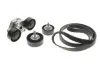 Комплект ремня генератора Land Rover Discovery/Range Rover 2.0D 14- INA 529 0426 10 (фото 2)