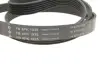 Комплект ремня генератора Land Rover Discovery/Range Rover 2.0D 14- INA 529 0426 10 (фото 9)