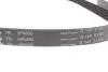 Комплект ремня генератора Ford Focus 2.5 ST 05-12, (5PK890 + 5PK848) INA 529 0477 10 (фото 2)