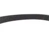 Комплект ремня генератора BMW 5 (F10)/X3 (F25)/X4 (F26) 11-18, (6PK 1003) INA 529 0483 20 (фото 9)