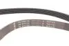 Комплект ременя генератора Ford Mondeo IV 2.2 TDCi 08-15, (6PK 1745) INA 529 0518 10 (фото 11)