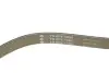 Комплект ременя генератора Ford Transit Custom 2.2 TDCi 12-15 (6PK1685/4PK922) INA 529 0527 10 (фото 5)