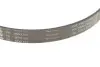 Комплект ремня генератора BMW 3 (F30, F80)/5 (G30/F90)/7 (G11/G12) 15- B46/B48/B58 (6PK1153) INA 529 0566 10 (фото 4)