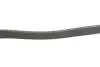 Комплект ременя генератора BMW 3 (G20/G80/G28)/5 (G30/F90) 2.0DH 19- B47 (8PK1162) INA 529056810 (фото 3)