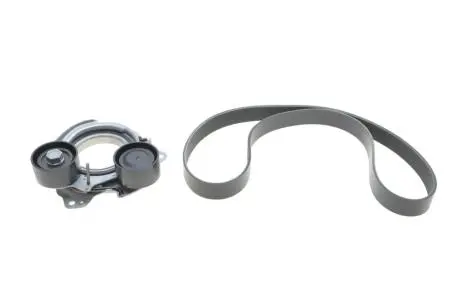 Комплект ремня генератора BMW 3 (G20/G80/G28)/5 (G30/F90) 2.0DH 19- B47 (8PK1162) INA 529056810