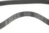 Комплект ремня генератора Citroen Berlingo/Peugeot Partner 1.6 HDi 10- (6PK1020) INA 529 0578 10 (фото 3)