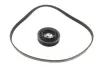 Комплект ременя генератора BMW 3 (F30/F80/G30/F)/5 (G30/F90/G31)/X3 (G01/F97) 2.0 15- B48 INA 529 0579 10 (фото 2)